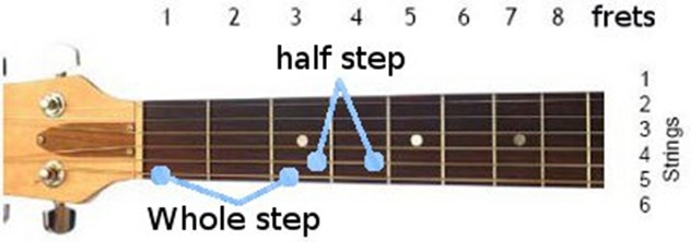 guitar-fret-steps livermore rex bell